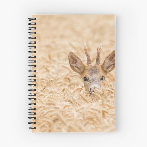 Item preview, Roe Deer Buck Hidden in Golden Wheat designed and sold by gabormedve.