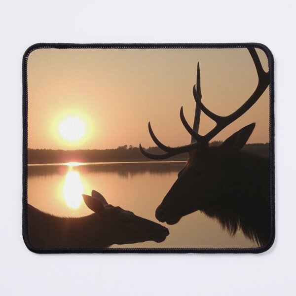 Item preview, Mysteries Amazfit cWaiting Inside designed and sold by mauroroberto.