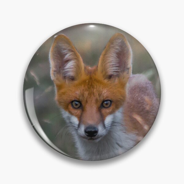 Item preview, Red Fox Staring Through the Grass designed and sold by Medve Photography & Design.