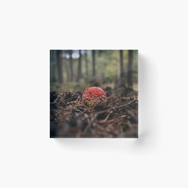 Item preview, The small dangerous mushroom. designed and sold by joanpla93.