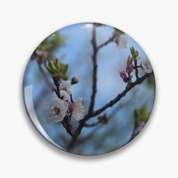 Item preview, Blushing Spring: Cherry Blossoms Under Cerulean Skies designed and sold by NaturalChroma.