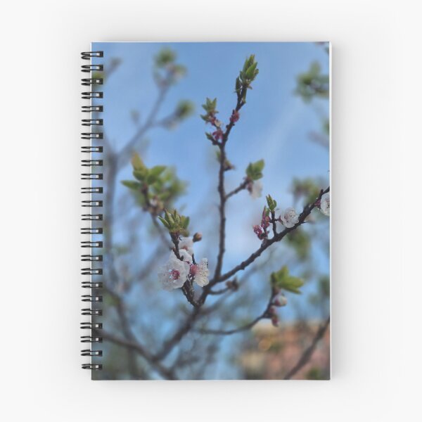 Item preview, Blushing Spring: Cherry Blossoms Under Cerulean Skies designed and sold by Natural Labs Studio.