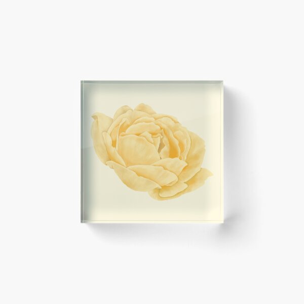 Item preview, Butter Yellow Rose – Delicate Watercolor Floral Blossom designed and sold by EmeraldeaArt.