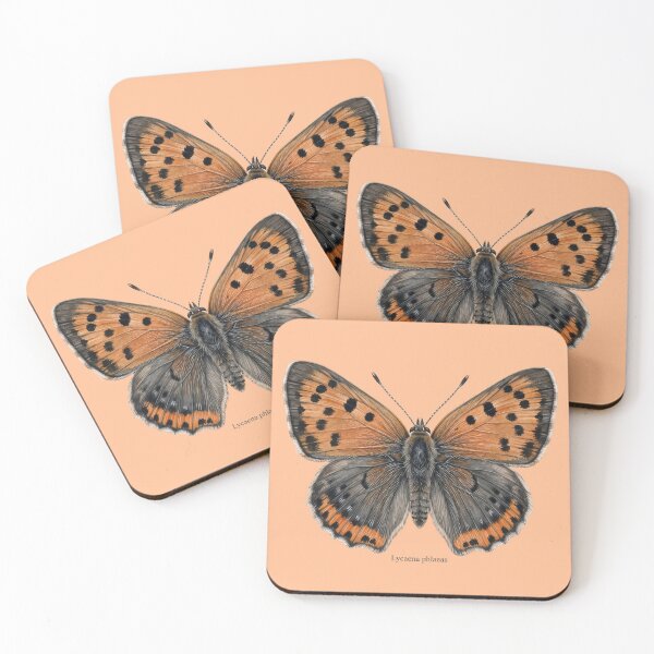 Item preview, The Small Copper: Lycaena Phlaeas Entomological Specimen Art designed and sold by FreiherrPK.