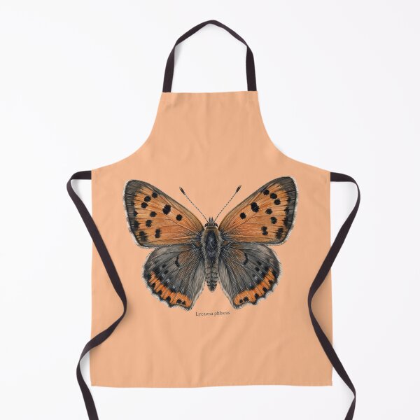 Item preview, The Small Copper: Lycaena Phlaeas Entomological Specimen Art designed and sold by FreiherrPK.