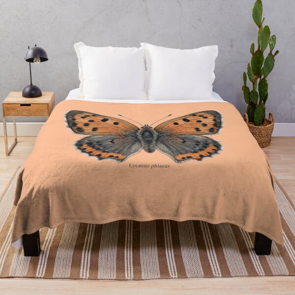 Item preview, The Small Copper: Lycaena Phlaeas Entomological Specimen Art designed and sold by FreiherrPK.