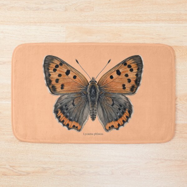 Item preview, The Small Copper: Lycaena Phlaeas Entomological Specimen Art designed and sold by FreiherrPK.