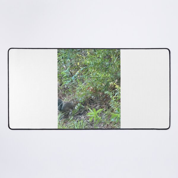 Item preview, Gray Squirrel in the Wild designed and sold by Pearls1.