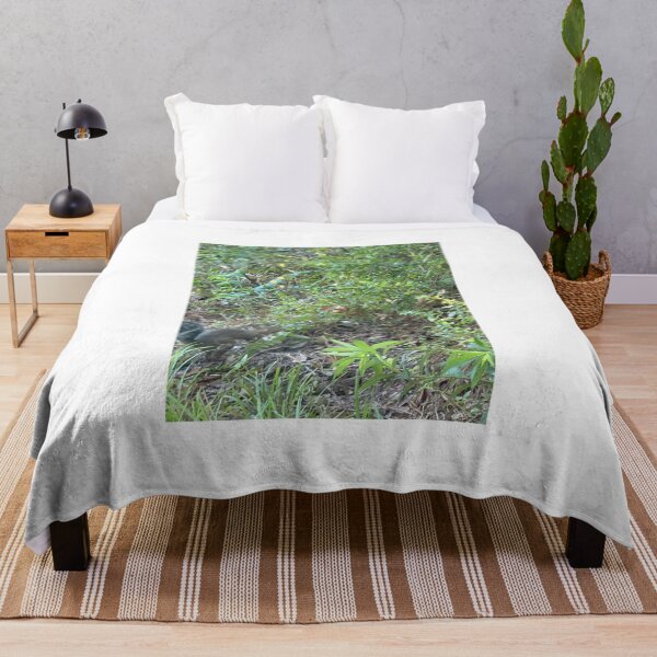 Item preview, Gray Squirrel in the Wild designed and sold by Pearls1.