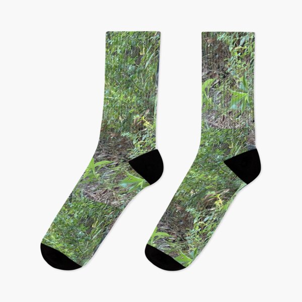 Item preview, Gray Squirrel in the Wild   designed and sold by Pearls1.