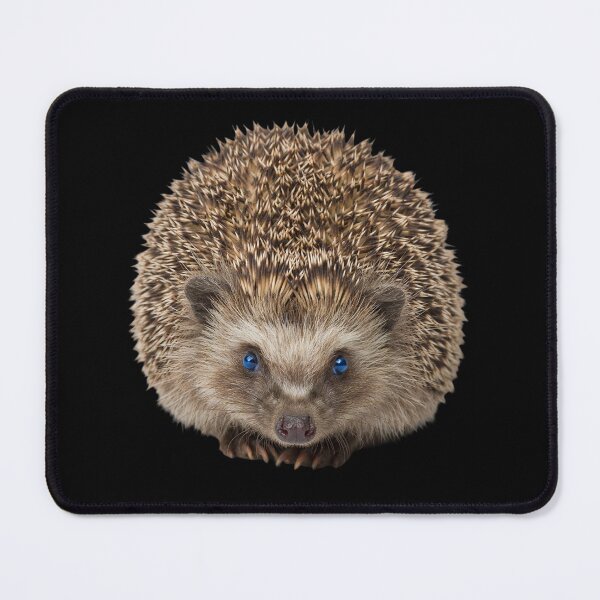 Item preview, Hedgehog Face Portrait Cute Woodland Animal Art designed and sold by cabana.space.