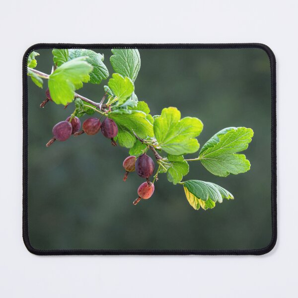 Item preview, Jewels of the Summer Garden designed and sold by MariaAbaza.