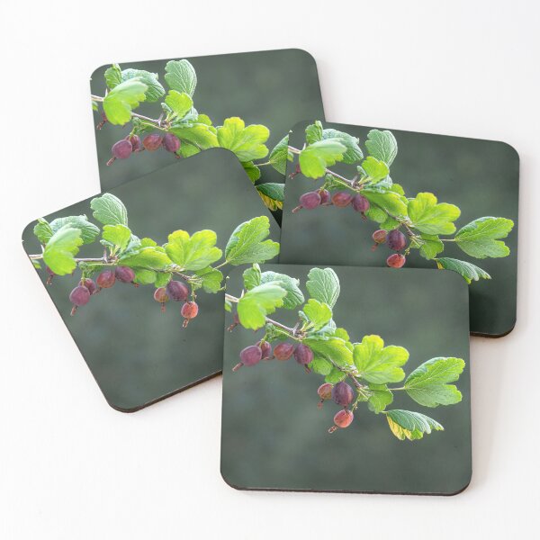 Item preview, Jewels of the Summer Garden designed and sold by MariaAbaza.