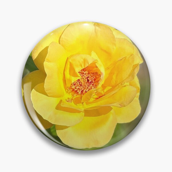 Item preview, Yellow Rose in the sunshine designed and sold by MittensandMouse.