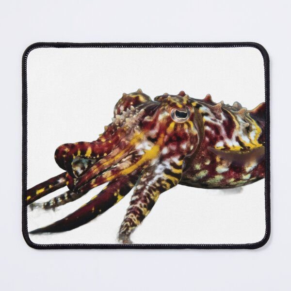 Item preview, Flamboyant Cuttlefish – Vivid Reef Portrait designed and sold by Helt-enkelt.