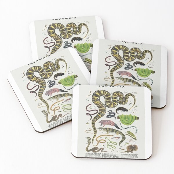 Item preview, Reptilian Diversity and Scientific Elegance – Creatures of the Order Squamata designed and sold by WATEKE.