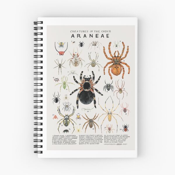 Item preview, Arachnid Diversity and Scientific Artistry – Creatures of the Order Araneae designed and sold by WATEKE.