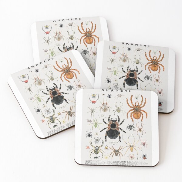 Item preview, Arachnid Diversity and Scientific Artistry – Creatures of the Order Araneae designed and sold by WATEKE.