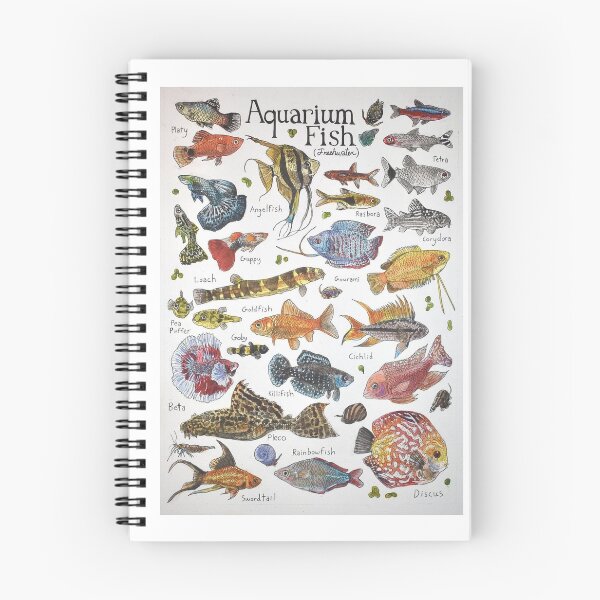 Item preview, Aquatic Beauty and Educational Charm – Freshwater Aquarium Fish designed and sold by WATEKE.