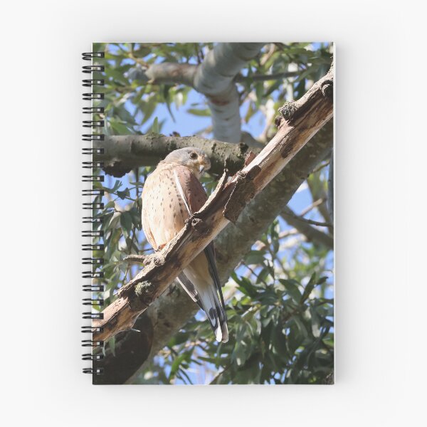 Item preview, kestrel watches you curiosly designed and sold by nikkysDesigns.