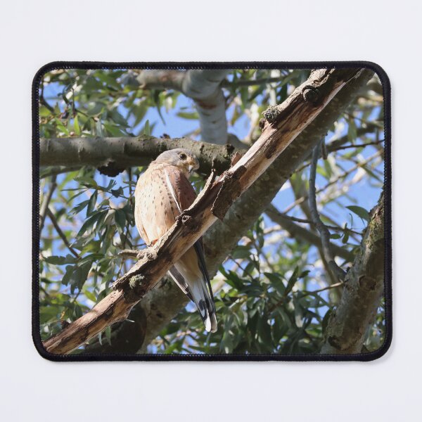 Item preview, kestrel watches you curiosly designed and sold by nikkysDesigns.
