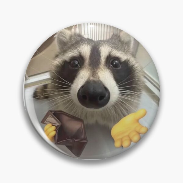 Item preview, broke racoon  designed and sold by Jadethegem28.
