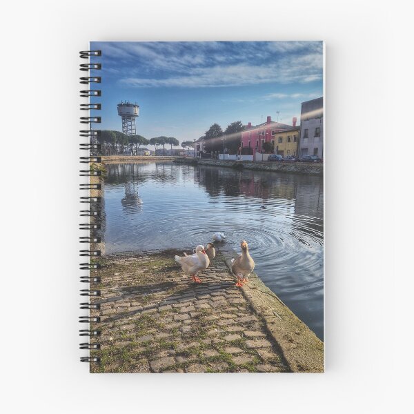 Item preview, Sun Drenched Riverbank Geese Gathering designed and sold by Natural Labs Studio.