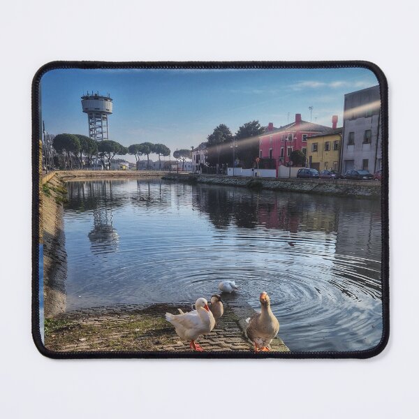 Item preview, Sun Drenched Riverbank Geese Gathering designed and sold by NaturalChroma.