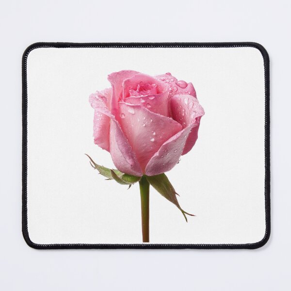 Item preview,  Single pink rose  designed and sold by MiraCleAI.