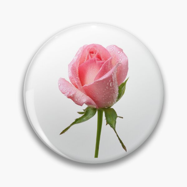 Item preview, Single pink rose  designed and sold by MiraCleAI.