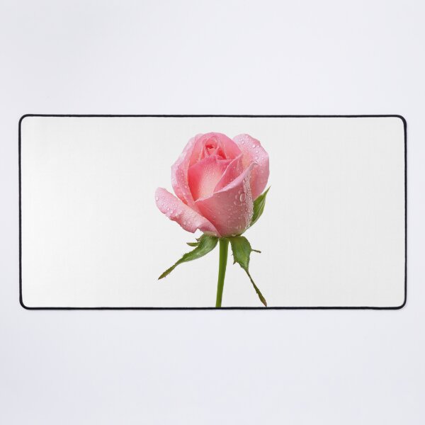 Item preview, Single pink rose  designed and sold by MiraCleAI.