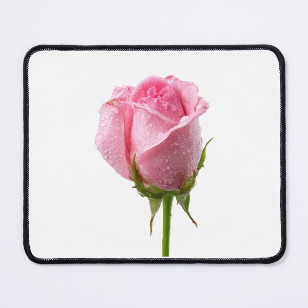 Item preview, Single pink rose  designed and sold by MiraCleAI.