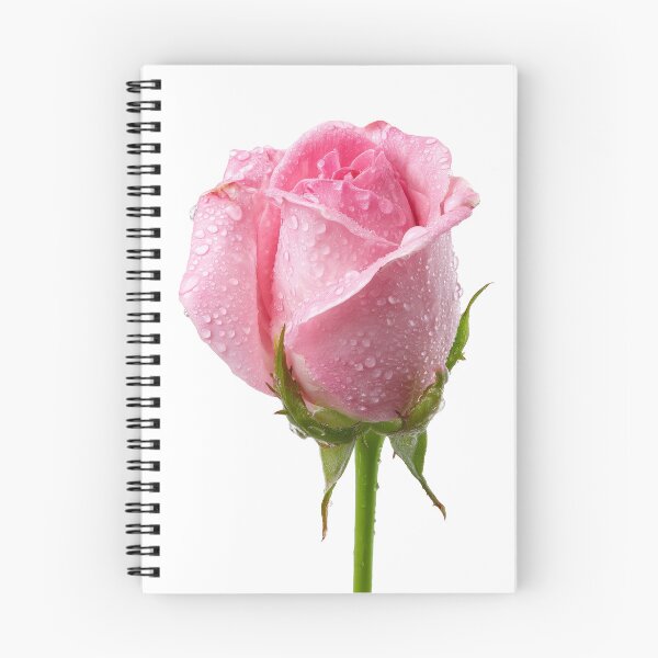Item preview, Single pink rose  designed and sold by MiraCleAI.