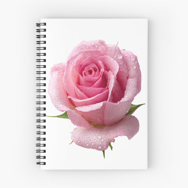 Item preview, Single pink rose  designed and sold by MiraCleAI.