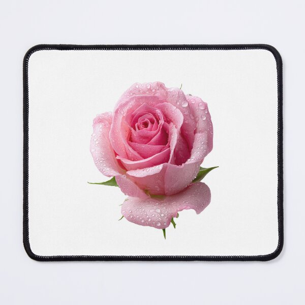 Item preview, Single pink rose  designed and sold by MiraCleAI.