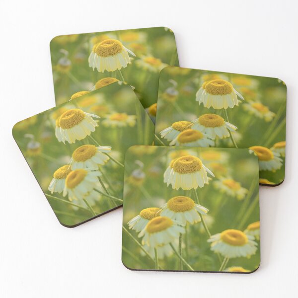 Item preview, Daisies designed and sold by maykgg.