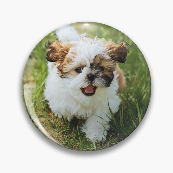 Item preview, Cutie Dog designed and sold by maykgg.