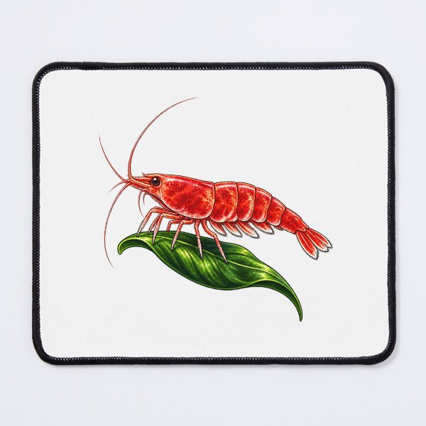 Item preview, Shrimp Keeper Gift – Cherry Shrimp on a Leaf designed and sold by UrbanCanvvas.
