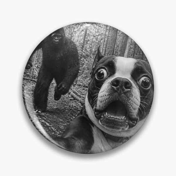 Item preview, Boston Terrier Bigfoot Selfie Funny Sasquatch Photobomb Dog designed and sold by Crookedorbit ⭐⭐⭐⭐⭐ .