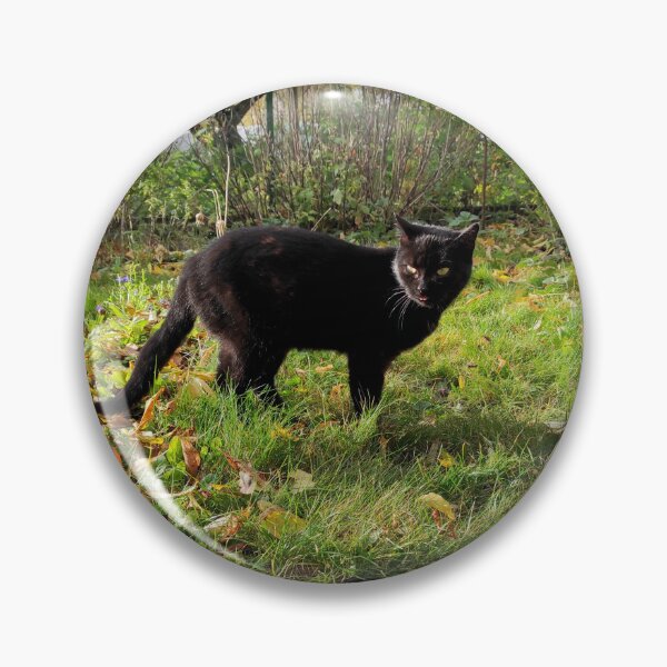 Artikelvorschau, Schwarzer Kater im Garten entworfen und verkauft von Gourmetkater.