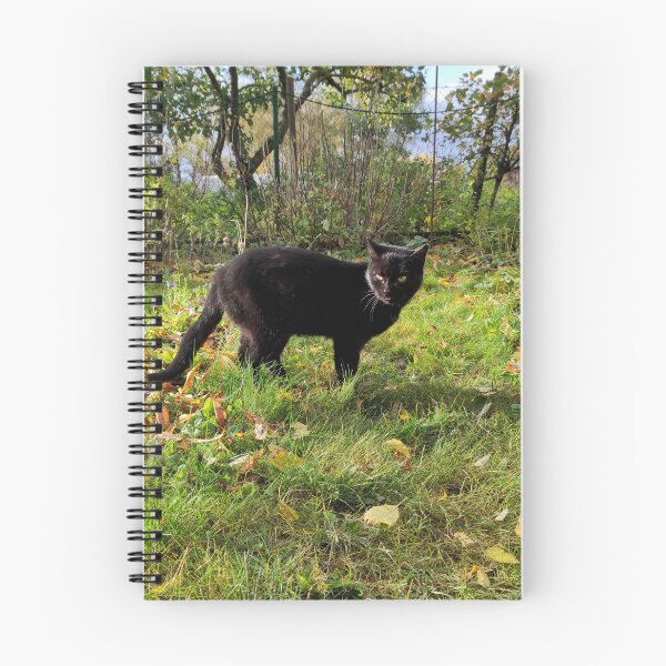 Artikelvorschau, Schwarzer Kater im Garten entworfen und verkauft von Gourmetkater.