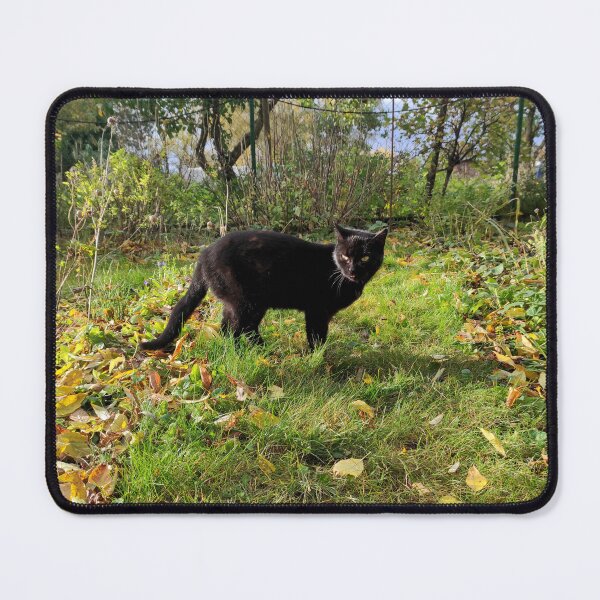 Artikelvorschau, Schwarzer Kater im Garten entworfen und verkauft von Gourmetkater.