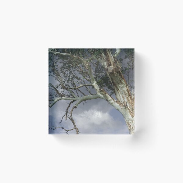 Item preview, Tree designed and sold by Jodie Cooper.