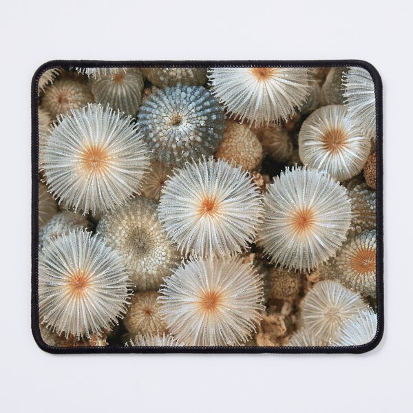 Item preview, Organic Worlds: Frosted Blooms — Crystalline Nature Macro designed and sold by Atlas-of-Worlds.
