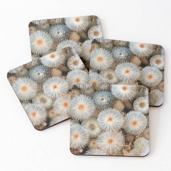 Item preview, Organic Worlds: Frosted Blooms — Crystalline Nature Macro designed and sold by Atlas-of-Worlds.