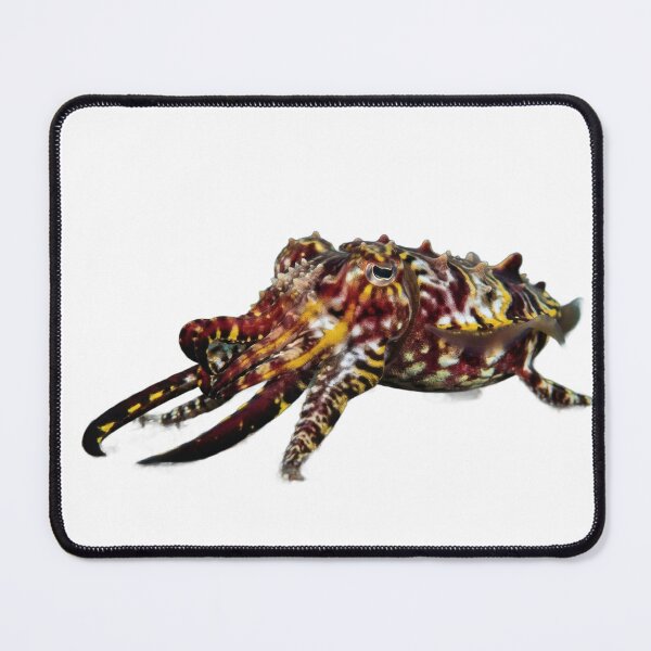 Item preview, Flamboyant Cuttlefish – Vivid Reef Portrait designed and sold by Helt-enkelt.
