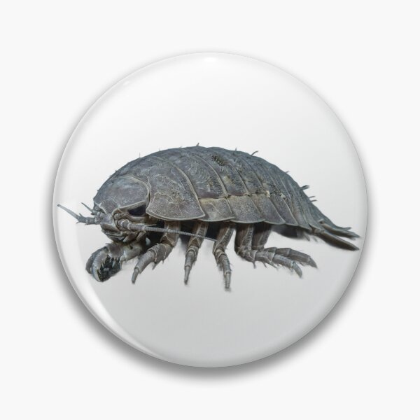 Item preview, Giant Isopod Bathynomus – Deep Sea Portrait designed and sold by Helt-enkelt.