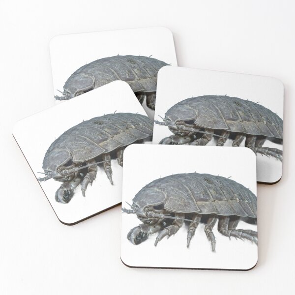 Item preview, Giant Isopod Bathynomus – Deep Sea Portrait designed and sold by Helt-enkelt.