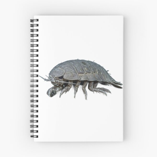 Item preview, Giant Isopod Bathynomus – Deep Sea Portrait designed and sold by Helt-enkelt.