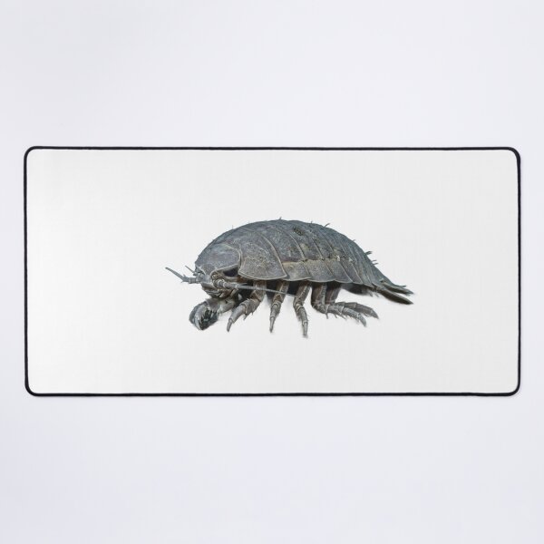 Item preview, Giant Isopod Bathynomus – Deep Sea Portrait designed and sold by Helt-enkelt.